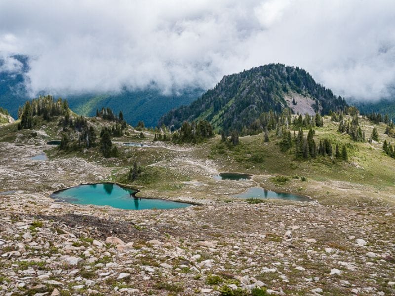 The bright blue waters of the seven lakes are the perfect treat while backpacking along the High Divide Seven Lakes Basin Loop in Olympic National Park.