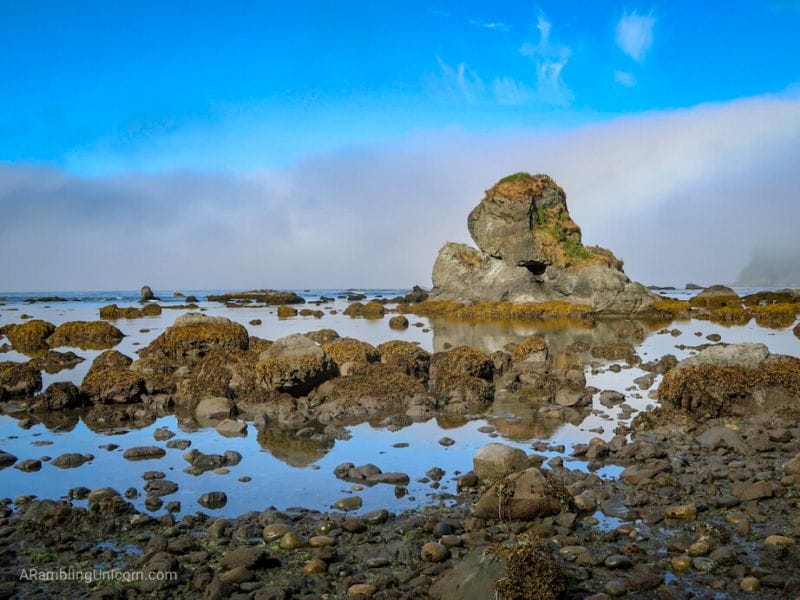 The rugged Washington coastline creates a dramatic backdrop for the Ozette Triangle backpacking trail in Olympic National Park.