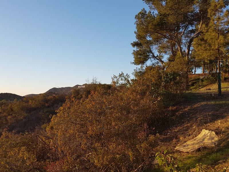 The famous Hollywood Sign is visible just between the trees from Griffith Park in Los Angeles. Photo credit: Globeblogging.