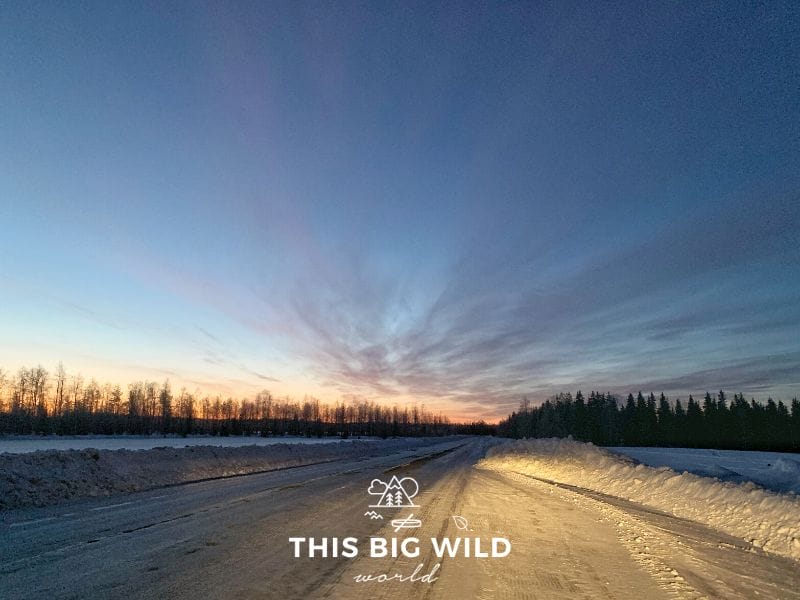 The sky is bright pink and yellow on the horizon in an other bright blue and dark sky as the sunrises as I drove from Levi to Rovaniemi in a rental car. The horizon is lined with a silhouette of tall pine and fir trees.