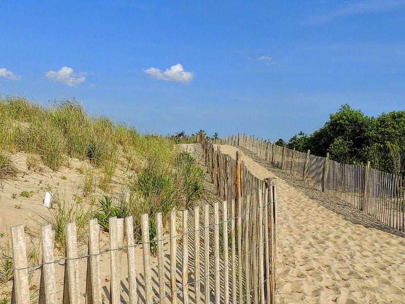 A walking path makes its way across a sand dune from the bottom right corner to the center. On either side of the path is a wooden slatted fence. Behind the fences is green grass growing on the sand dunes under a bright blue sky with a few fluffy white clouds at Cape Henlopen State Park in Delaware.