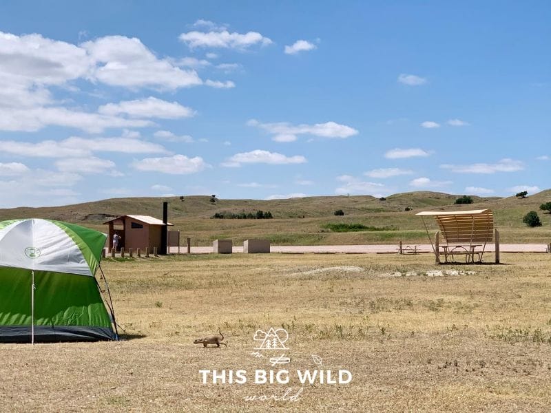 A green and white tent is setup on the left hand side on an open dry grassy area. Behind the tent in the distance is a pit toilet building. On the right is a shaded picnic table. In the distance are rolling green hills and white fluffy clouds in a blue sky. A prairie dog is running across the foreground towards the tent.