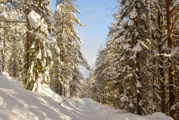 Unforgettable Things to Do in Levi Finland in Winter (for non-skiers!)
