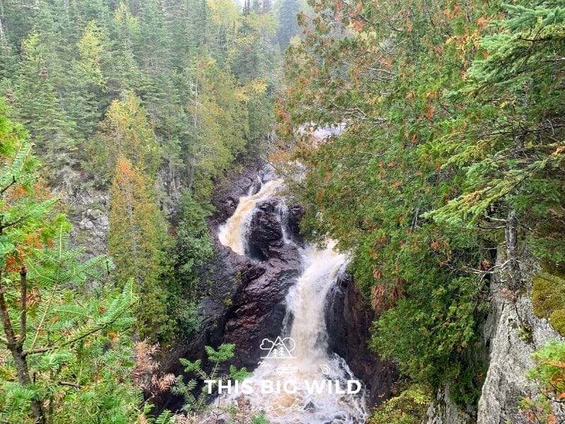 A narrow cascade of waterfalls makes its way through a dark gray jagged rock gorge. On either side of the water are tall trees in all shades of green, yellow and red. There's a light mist in the air as the rain starts to fall.