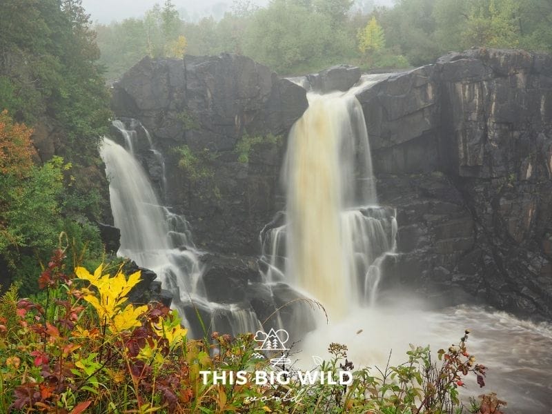 Two 120 foot tall waterfalls flow on either side of dark gray jagged rock. In the background is a line of green trees just beginning to change colors. In the foreground is bright yellow and red brush. It's a rainy, misty day.