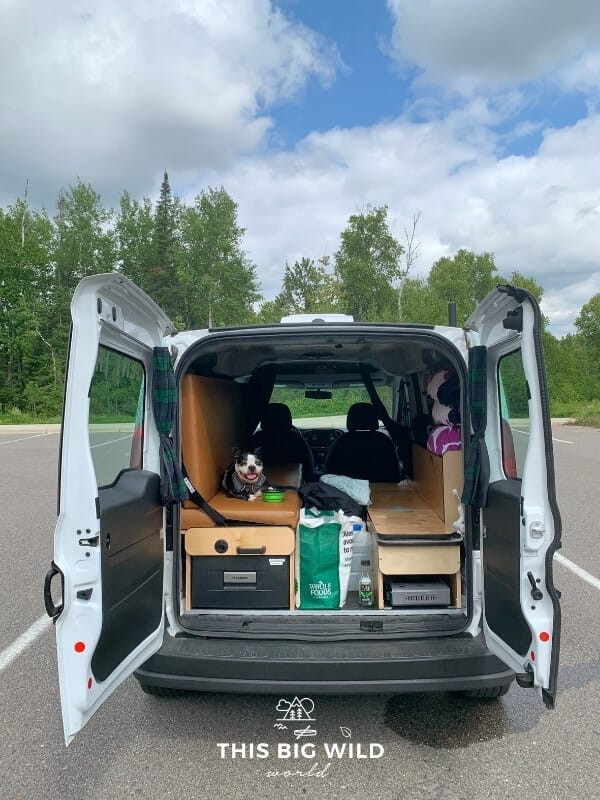 The rear doors of a campervan are open in an empty parking lot surrounded by forest. A boston terrier dog is happily sitting on the bench during a pit stop on our campervan rental trip.