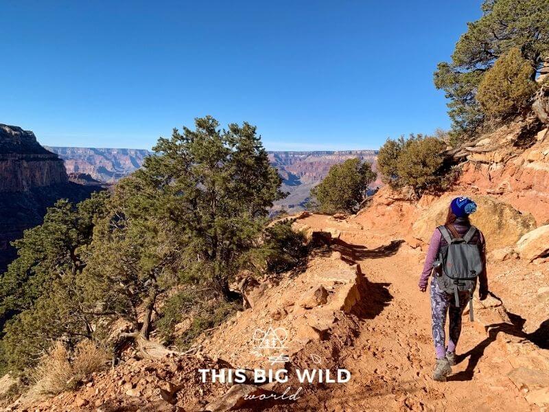 In the distance is the Grand Canyon and in the foreground is a reddish sandy trail with green brush on either side. A woman (me) is walking on the trail on the right side of the image in camo leggings, a purple lightweight long sleeve top, vest and blue winter hat carrying a gray backpack.