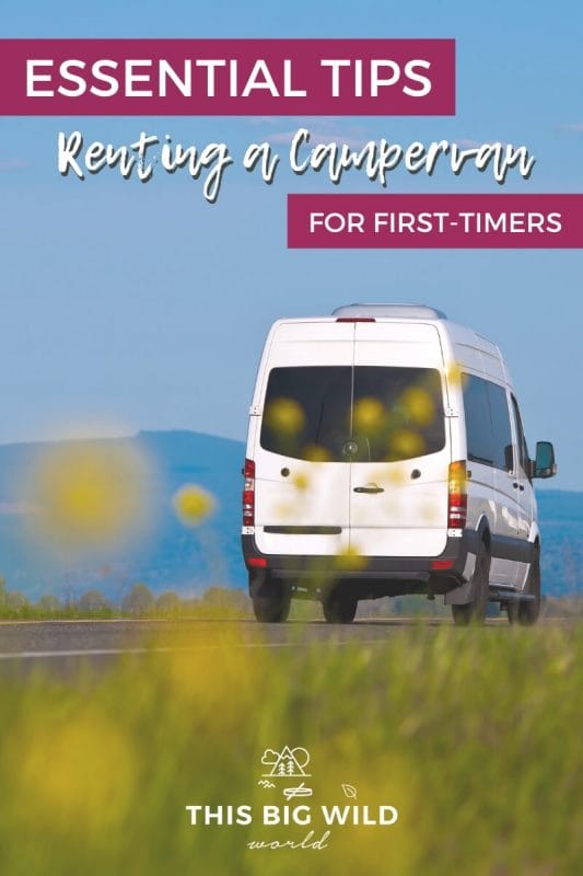 Text: Essential Tips Renting a Campervan for First-timers
Image: A white campervan is driving away from the camera with mountains in the distance. In the foreground is tall grass and yellow flowers.