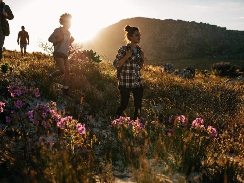 Two women walk through tall grass and wildflowers with two additional people in silhouette in the background. The sun is setting behind the group with a tall hill or mountain in the distance.