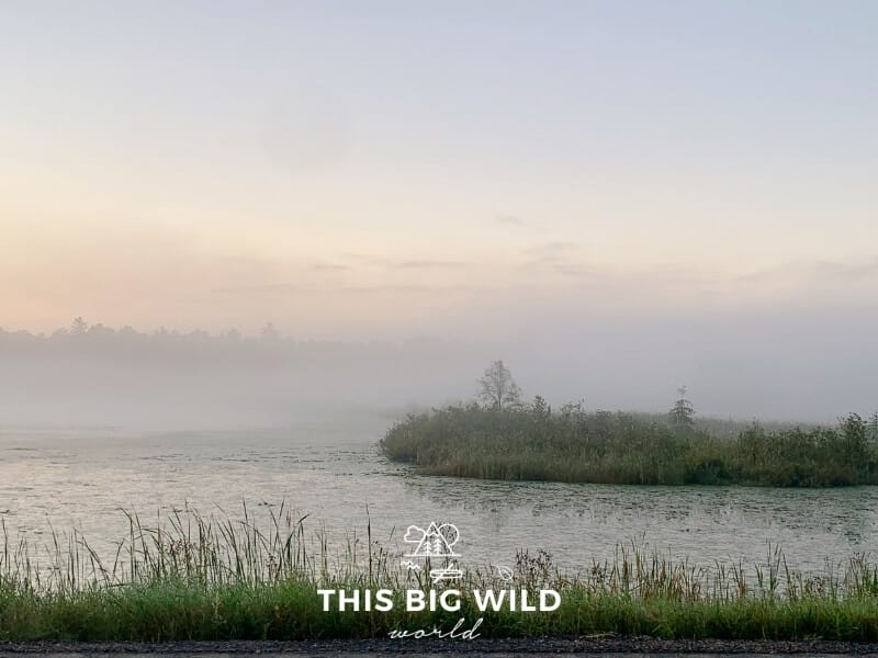 A pinkish blue sky behind a low fog that settled over one of the lakes in the Chippewa National Forest. Tall green grass is stretching eerily up from the water through the fog.