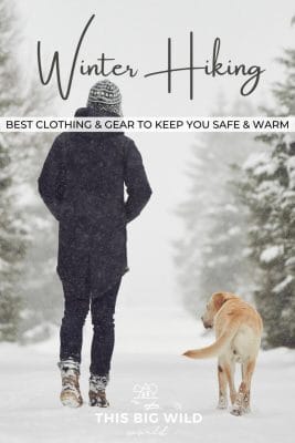 Text: Winter Hiking - Best clothing and gear to keep you safe and warm Image: Person walking away from the camera with a yellow lab walking alongside them on a snowy trail lined with pine trees.