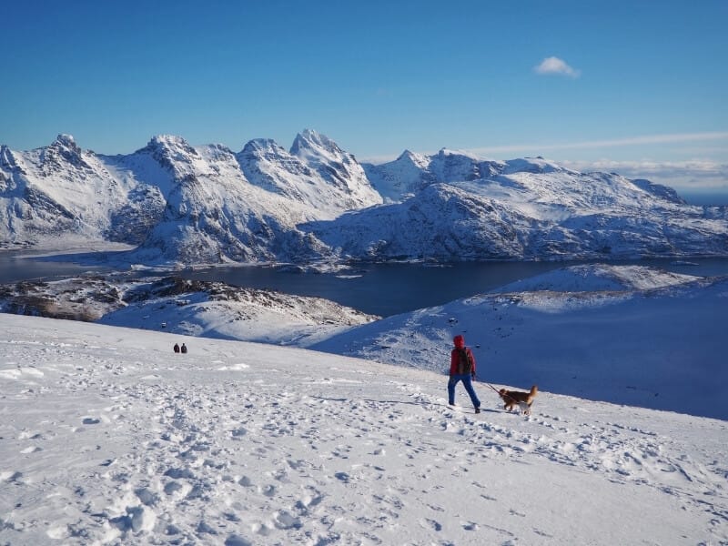 A person with a leashed dog is walking away from the camera on a trail down a mountain covered in snow overlooking snow-covered fjords in Norway.