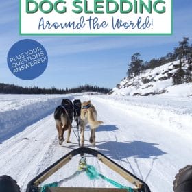 Text: 11 Best Places Dog Sledding Around the world! Image: A team of huskies pull a sled through over a foot of snow with with forest to the right and far off in the distance. View shown from inside the dog sled.