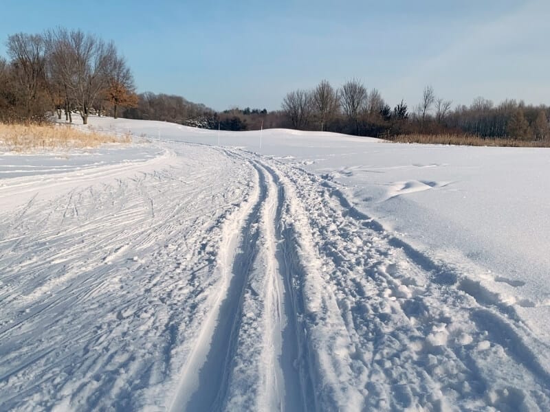 Close of up cross country ski trail and tracks after a morning of heavy use. In the distance is a rolling hill covered in fresh snow and a distant treeline.