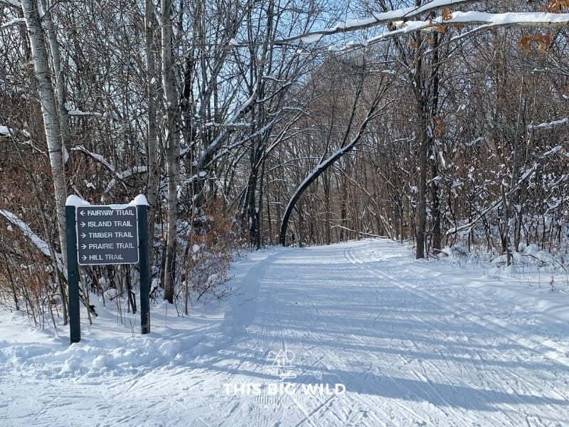 A cross country ski trail extends in front of the camera and to the right surrounded by snow covered trees. In the foreground on the left is a sign with arrows pointing in different directions for the various ski trails at Baker Park Reserve near Minneapolis.