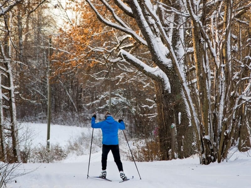 A cross country skier heads into a snow covered forest for skate style skiing.