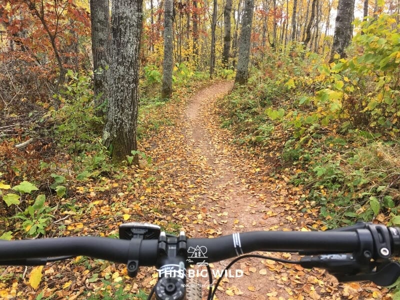 Bright autumn colors along a mountain biking trail in Duluth Minnesota. 