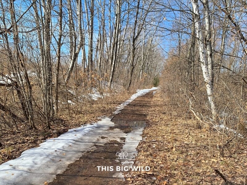 A muddy bike path is partially covered in snow and lined on both sides with trees in winter in Crosby Minnesota.