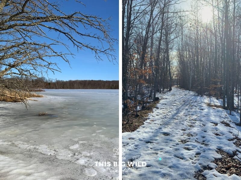 Left: Milford Mine frozen on a bright sunny winter day.
Right: A snowy trail lined with tall thin trees on both sides with the sun shining through on the way to Milford Mine Memorial Park.