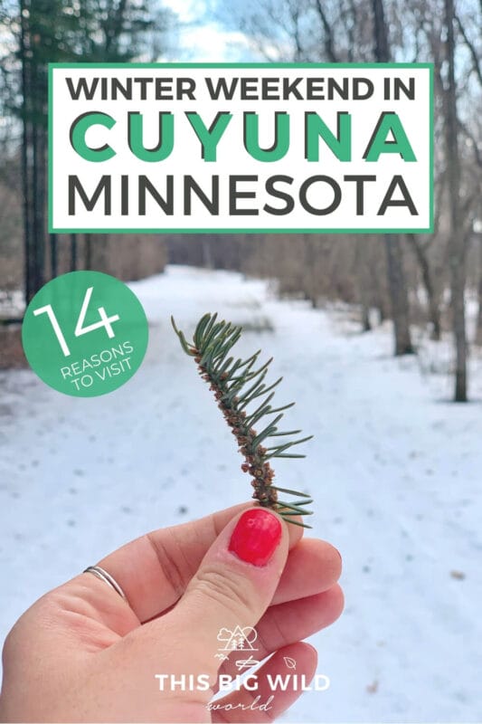 Text: Winter Weekend in Cuyuna Minnesota - 14 Reasons to Visit Image: Hand with coral nail polish holding a stem with pine needles. Behind the hand is a hiking trail covered in snow.