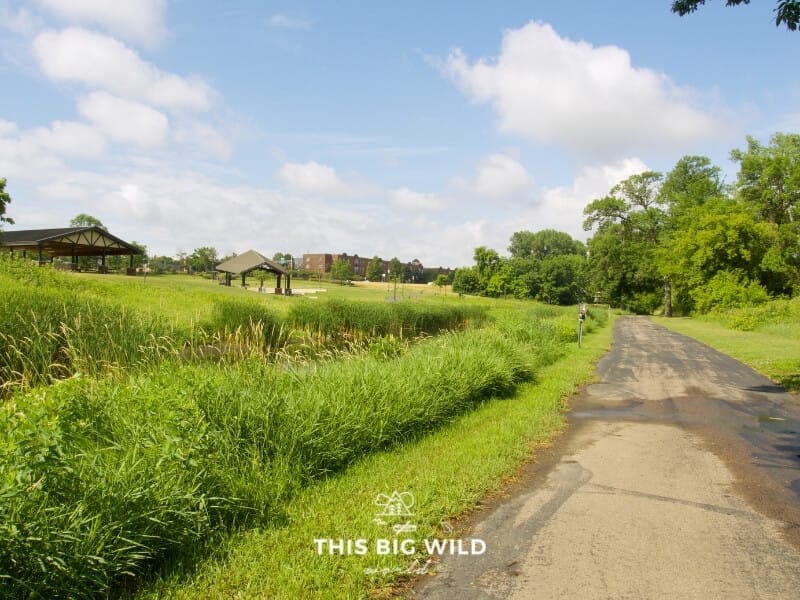 A paved trail runs along the right side of the frame, lined with tall grass and trees. In the distance, downtown Shakopee is visible on the left.