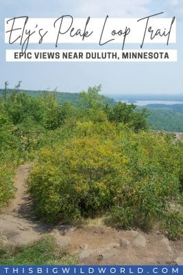 Text: Ely's Peak Loop Trail, epic views near Duluth, Minnesota Image: 360 degree view of lush green vegetation with water off in the distance near the horizon.