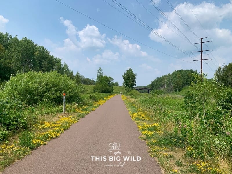 The paved Willard Munger Trail extends in front with lush greenery and bright yellow wildflowers on either side.