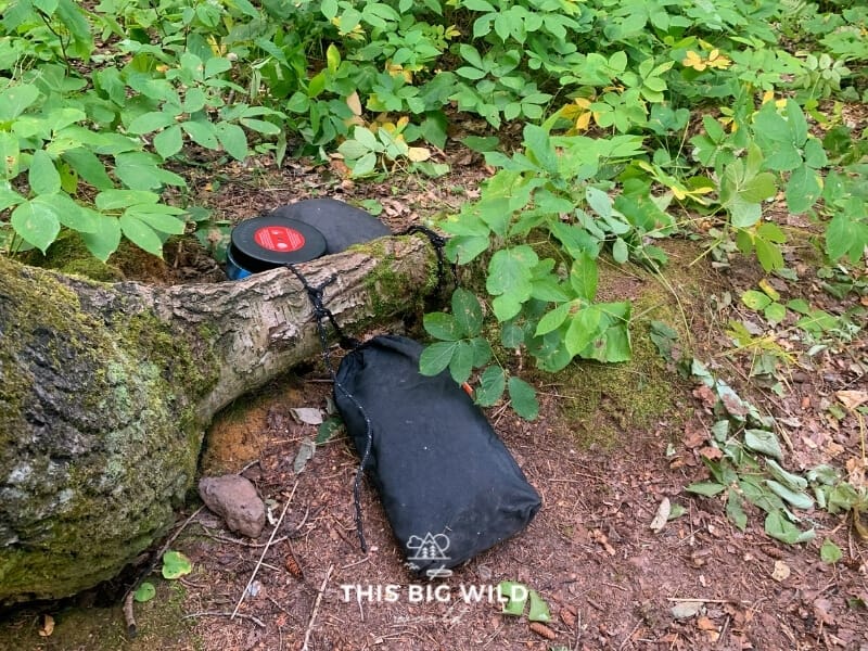 A bear proof bag is tied to the base of a tree along the Superior Hiking Trail. Next to it is a small bear proof container also sitting next to the base of the tree.