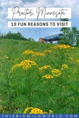 Text: 13 Fun Reasons to Visit Proctor Minnesota, Image: A chair lift in the distance with a tall green grass and yellow flowers in the foreground.