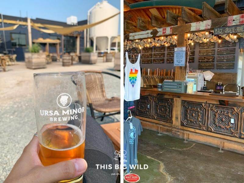 Left: Me holding a partially empty Ursa Minor pint glass with the outdoor patio in the background. Right: The intricate detail on the Ursa Minor Brewery bar indoors.