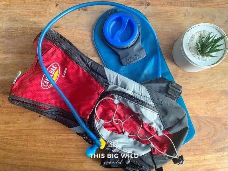 Small red Camelbak with blue reservoir is laying flat on a wooden table next to a small cactus plant.