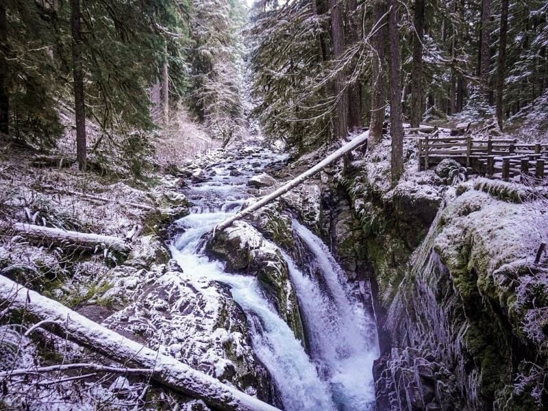 There are endless fun things to do in Washington state in winter, including winter hiking.