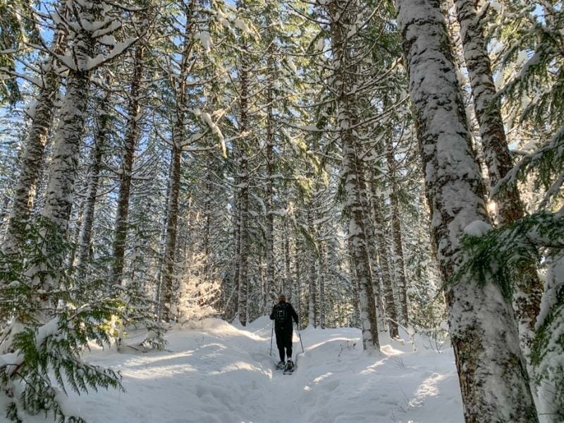 Snowshoeing through the forest in Whistler, Canada, is just one of many reasons it's a winter wonderland destination!