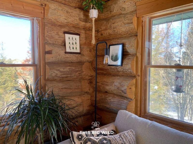 The living room area in Ely Log Cabin has a beautiful view of the forest, hanging plants and artwork from local artists.