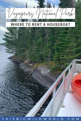 Where to rent a houseboat in Voyageurs National Park - View from top deck of houseboat of rocky shoreline with pine trees.