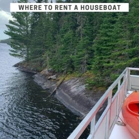 Where to rent a houseboat in Voyageurs National Park - View from top deck of houseboat of rocky shoreline with pine trees.