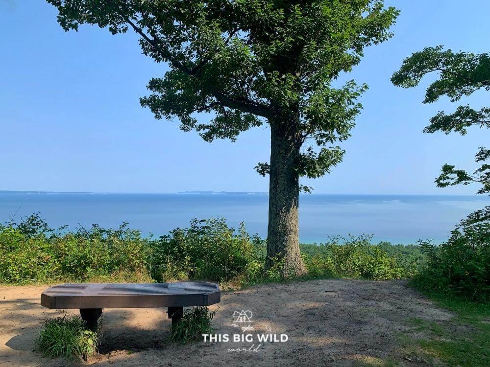 A wooden bench with partial shade from a tall tree overlooks the blue water of Lake Michigan from the Islands Lookout on the Alligator Hill hiking trail.