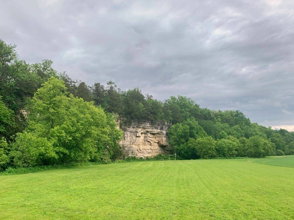 View of tall limestone bluff surrounded by green forest and grass in the foreground in Lanesboro MN.