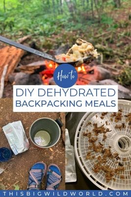 Text: How to DIY dehydrated backpacking meals. Images show a spoon in front of a campfire, a tray of food being dehydrated and a backpacking stove and pouch of food on the ground.