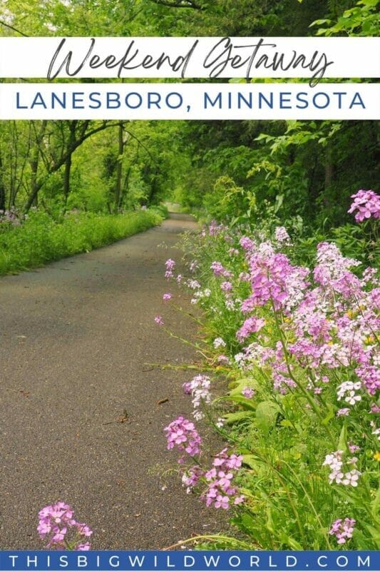 Paved trail lined with purple wildflowers and lush green forest. Text: Weekend Getaway in Lanesboro Minnesota.