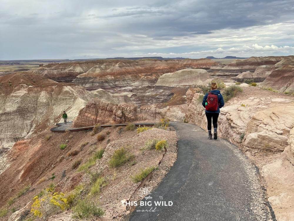 Hiking the Blue Mesa trail at Petrified Forest National Park.