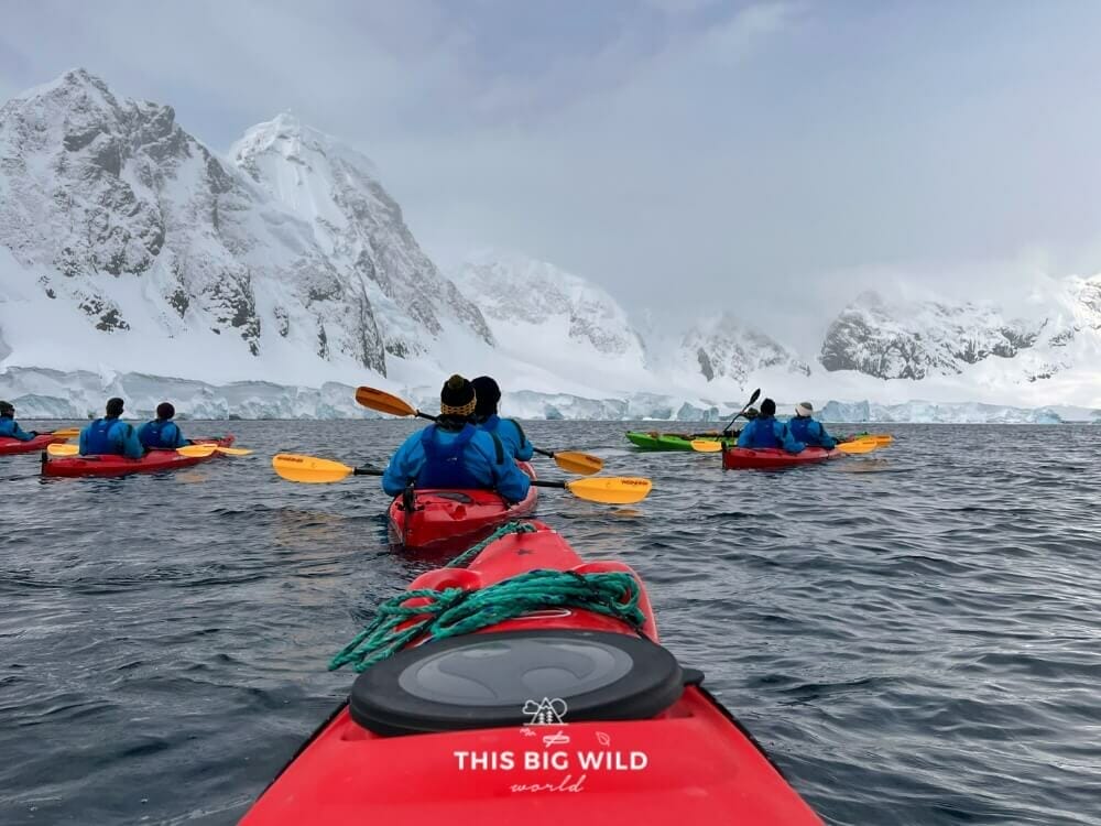 Kayaking on an Antarctica expedition cruise with Hurtigruten