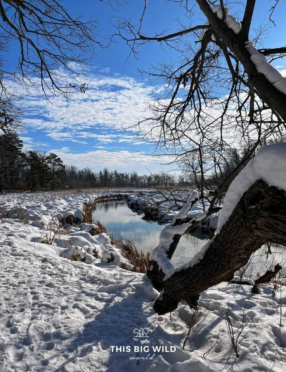 Clouds reflected in a stream next to a cross-country ski trail at Glendalough State Park.