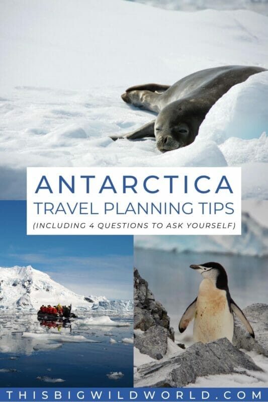 Text: Antarctica travel planning tips (including 4 questions to ask yourself). Images: a seal sleeping on an iceberg, a zodiac boat among sea ice, and a chinstrap penguin up close.