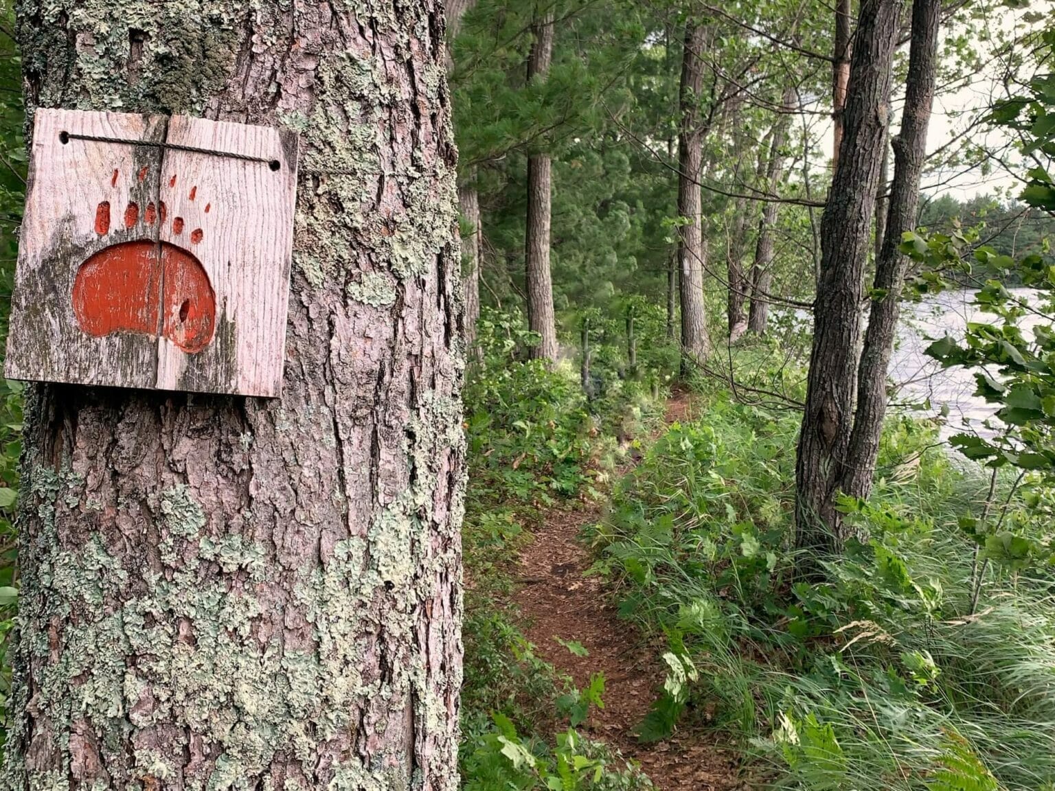 18 Spectacular Things to Do in Hayward Wisconsin This Summer Outdoor