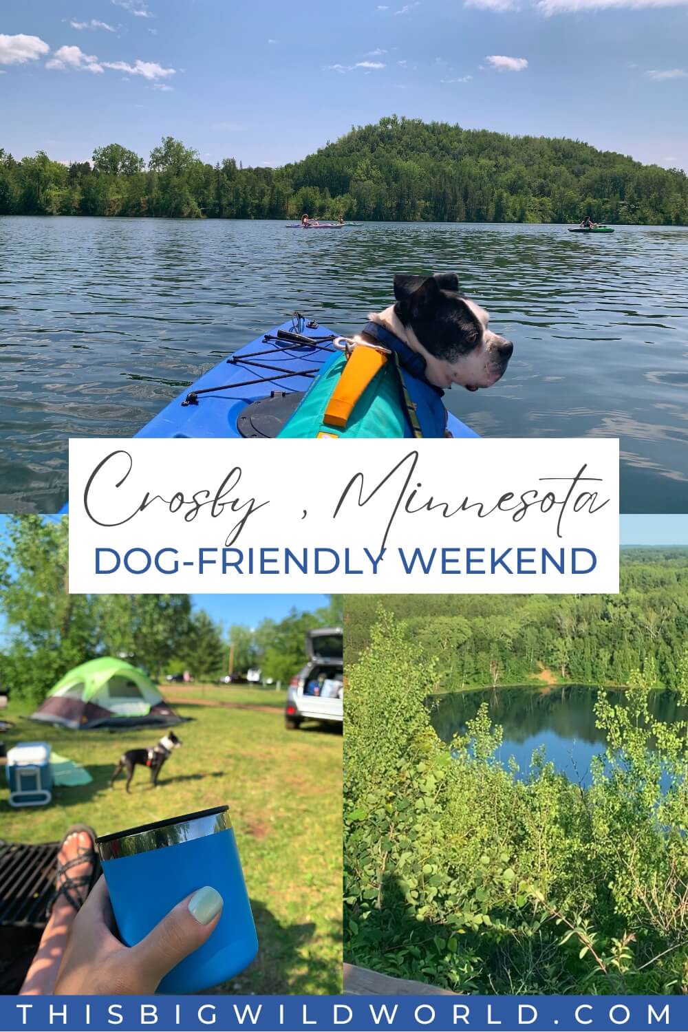 Dog riding in a kayak on a lake, holding up a drink cup at a campsite and an overlook of a lake and forest.