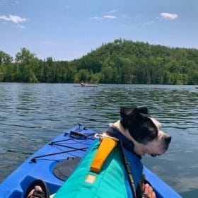 11 Dog-friendly things to do in Crosby MN this summer!