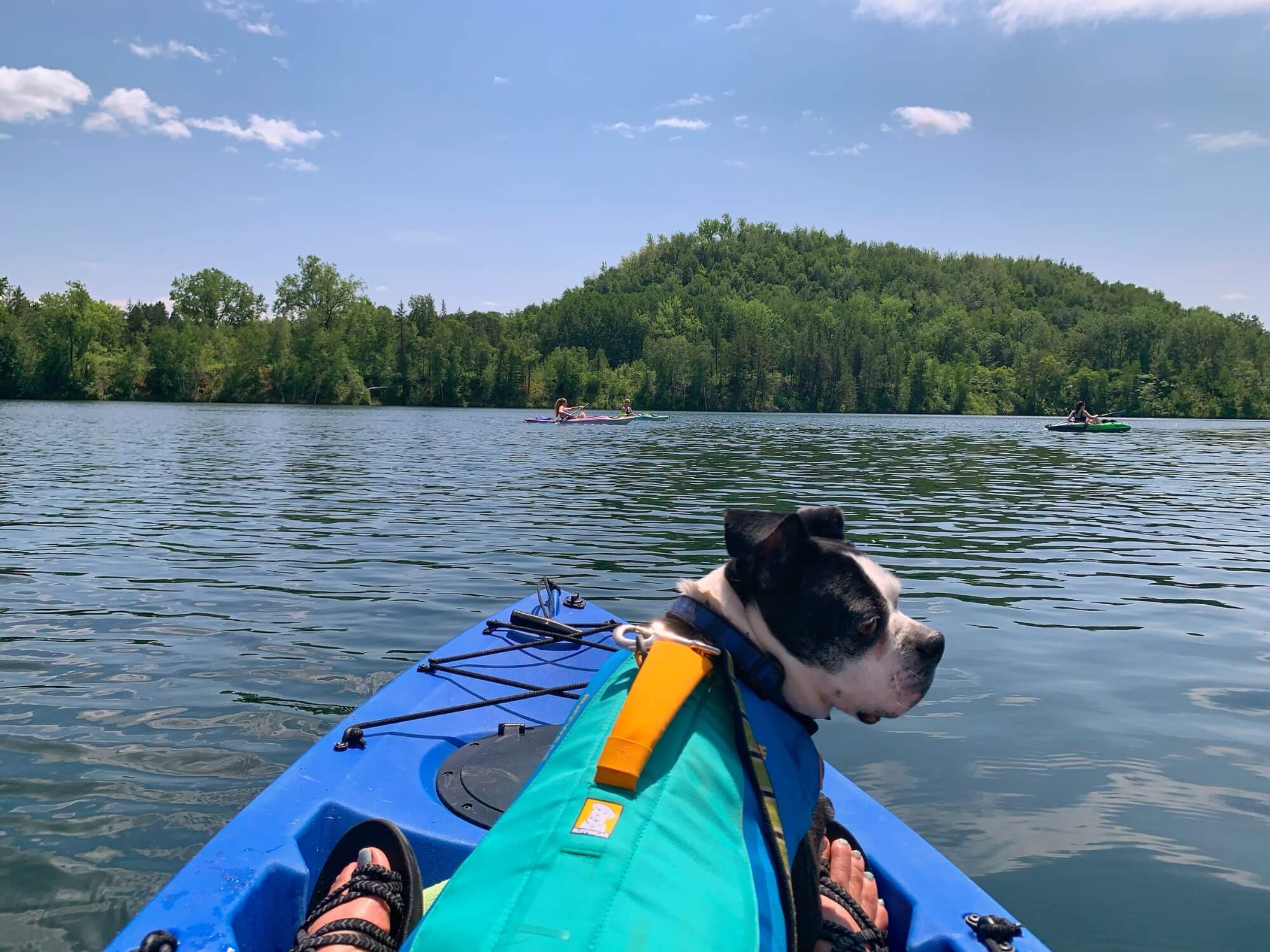 11 Dog-friendly Things to Do in Crosby MN – Outdoor Adventure Travel ...