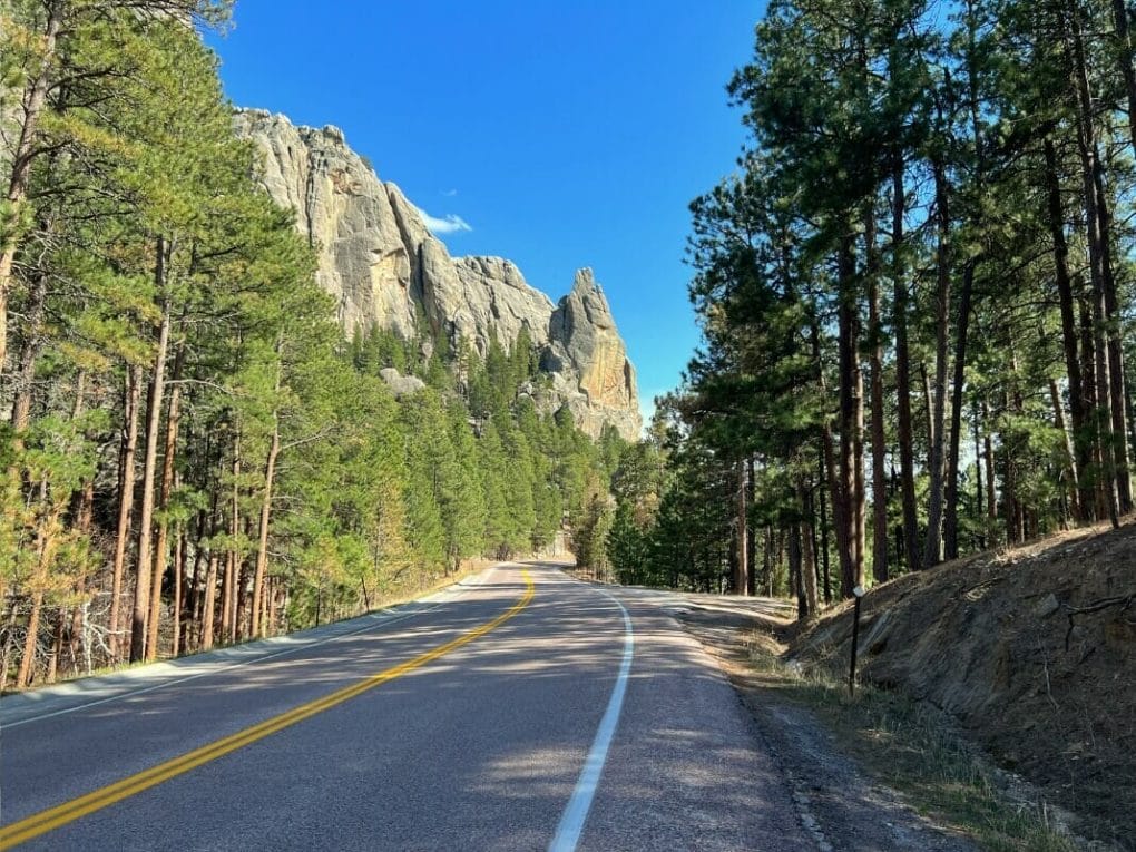 Needle-like rock formation stretch to the sky along the Needles Highway.
