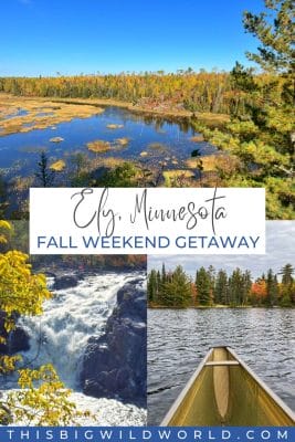 Fall weekend getaway in Ely MN with photos of yellow trees along a lake, a waterfall and the view of the fall colors from inside a canoe.